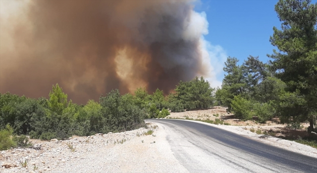 Antalya’da çıkan orman yangınına hava ve karadan müdahale ediliyor