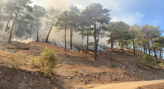 Antalya’nın Gazipaşa ilçesindeki orman yangınına müdahale ediliyor