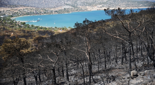 ”Genel Hayata Etkili Afet Bölgesi” ilan edilen Silifke ve Aydıncık’ta, yaraları devlet saracak