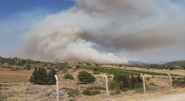 Adana’da tarlada başlayıp ormanlık alana sıçrayan yangına müdahale ediliyor