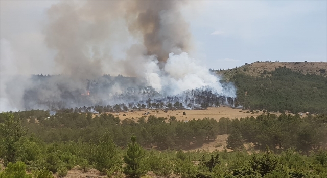 Burdur’da çıkan orman yangını kontrol altına alınmaya çalışılıyor