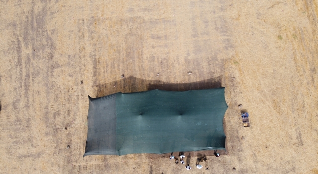 Kahramanmaraş’ta dünyanın en geniş höyük yerleşim alanlarından Domuztepe’de kazılar başladı