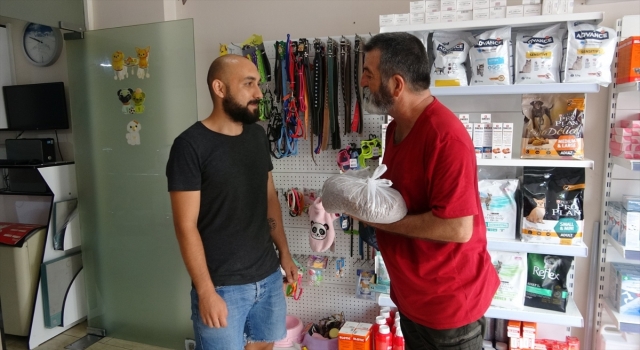 Orman yangınında yaralanan hayvanlar için Mersin’de kampanya başlatıldı