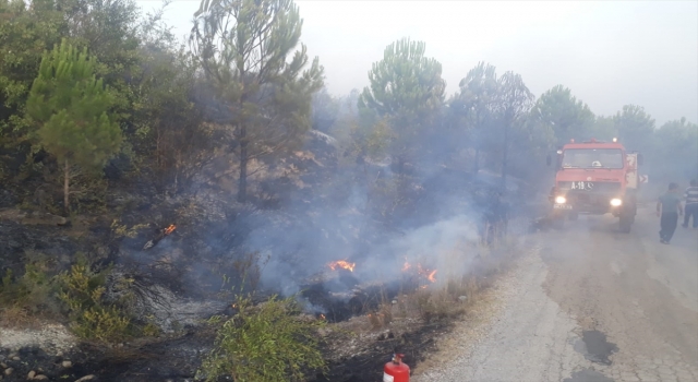 Kahramanmaraş’ta ormanlık alanda çıkan yangın söndürüldü