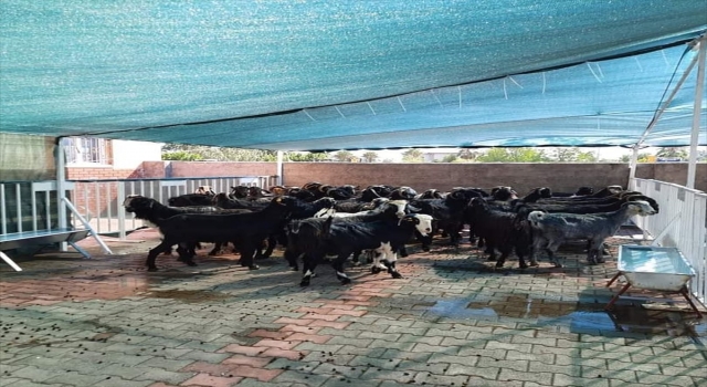 Anamur Belediyesinden MHP’nin yardım kampanyasına destek