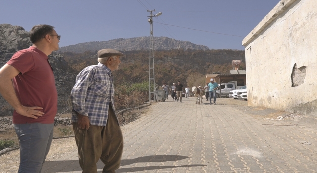 Silifke Belediye Başkanı Altunok’tan yangınında zarar gören aileye büyükbaş hayvan desteği