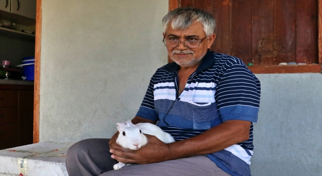 Osmaniye’de yangından kurtulan tavşana anne şefkati ile bakıyorlar
