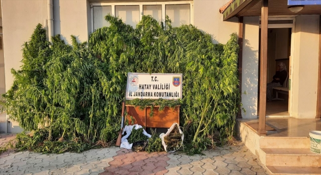 Hatay’da uyuşturucu operasyonlarında yakalanan 3 zanlıdan 2’si tutuklandı