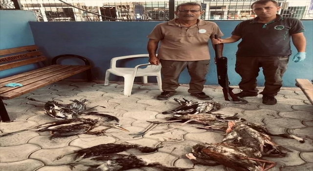 Hatay’da kaçak avlanan kişiye 28 bin 491 bin lira ceza uygulandı