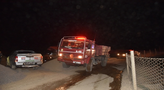 Kahramanmaraş’ta çıkan orman yangını söndürüldü