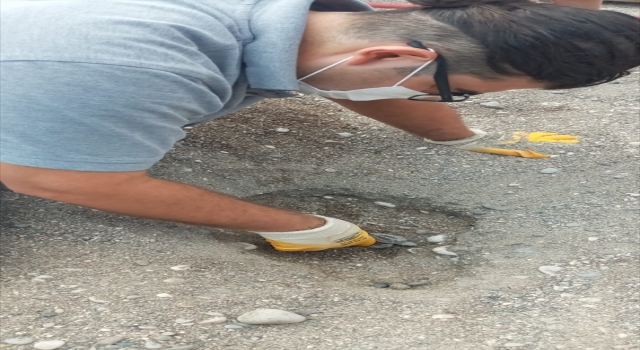 Antalya’da caretta caretta yavruları denizle buluştu