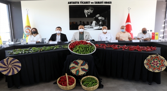 Samandağ biberi coğrafi işaret tescil belgesi aldı
