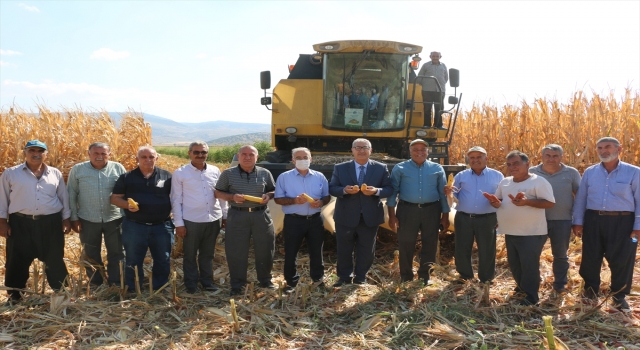 Pazarcık’ta mısır hasadı başladı