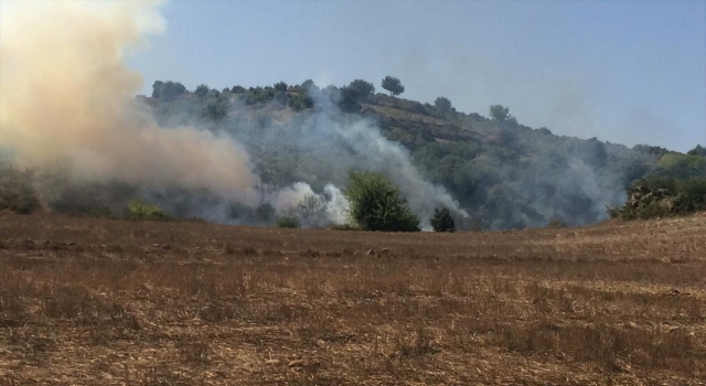 Osmaniye’de tarladan ormanlık alana sıçrayan yangın kontrol altına alındı