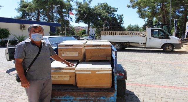Antalya’da yangından zarar gören bal üreticilerine kovan yardımı