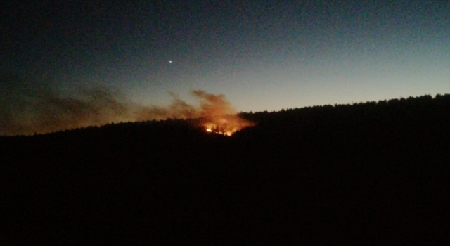Adana’nın Kozan ilçesinde çıkan orman yangını söndürüldü