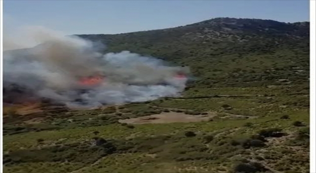 Burdur’un Bucak ilçesinde orman yangını çıktı