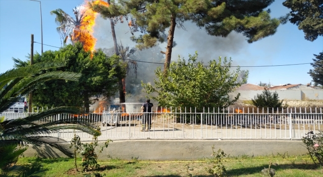 Adana’da ağaçlık alanda çıkan yangın söndürüldü