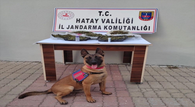 Hatay’da uyuşturucu operasyonunda yakalanan şüpheli tutuklandı