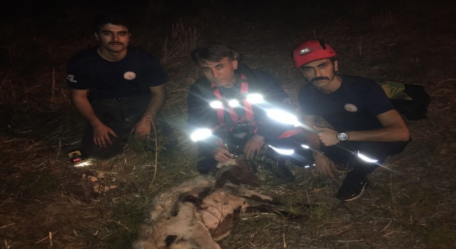 Hatay’da kuyuya düşen koyunu itfaiye kurtardı