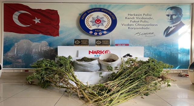Hatay’da bir evde 120 kök Hint keneviri ile 5 kilogram esrar ele geçirildi