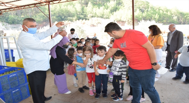 Kumluca’da anaokulu öğrencileri zeytinyağı fabrikasını inceledi