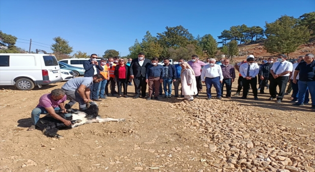 AK Parti Mersin Milletvekili Yılmaz, Silifke’de incelemelerde bulundu