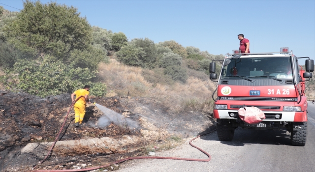 Hatay’da zeytinlik alanda çıkan yangın söndürüldü