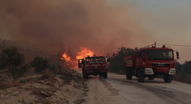 Hatay’da çıkan orman yangınına müdahale ediliyor