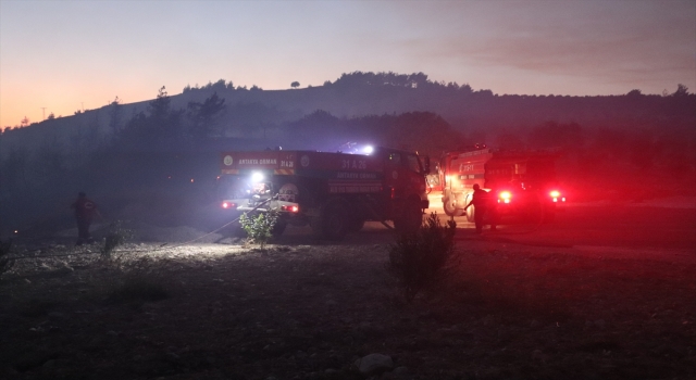 GÜNCELLEME Hatay’da çıkan orman yangınına müdahale ediliyor