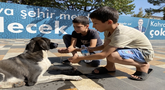 Kahramanmaraş’ta otomobilin çarptığı köpeğe çocuklardan yardım eli