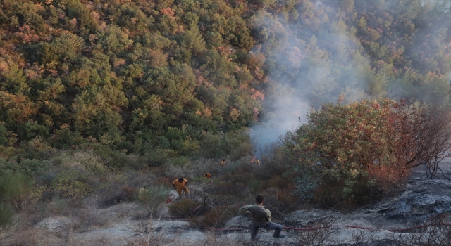 Hatay’da bağlık alanda çıkan yangın söndürüldü