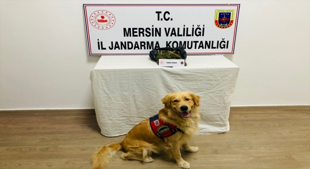 Mersin’de uyuşturucu operasyonunda 2 şüpheli yakalandı