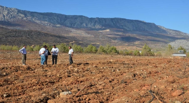 Silifke’de yanan orman alanlarına fidan dikim hazırlıkları sürüyor