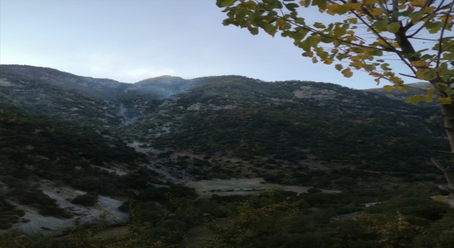 Osmaniye’deki orman yangınına müdahale sürüyor
