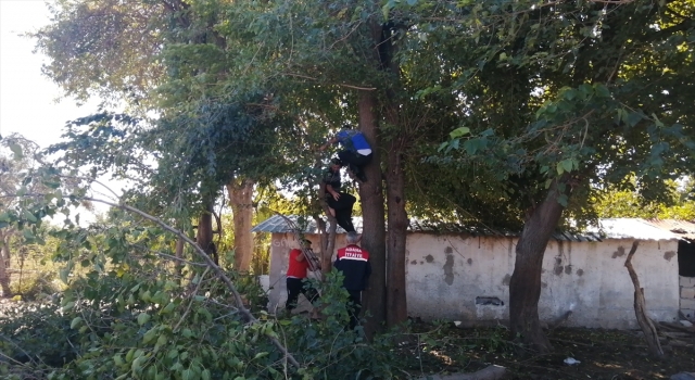 Adana’da budadığı ağacın gövdesiyle dalı arasında sıkışan kişiyi itfaiye kurtardı