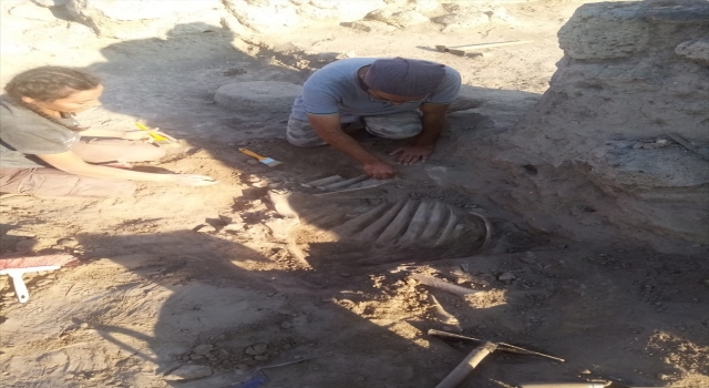 Tatarlı Höyük’te Orta Demir Çağ’a ait depolama alanı bulundu