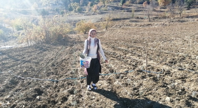 Adana’da kadın girişimci 6 dönümde lavanta bahçesi kurdu