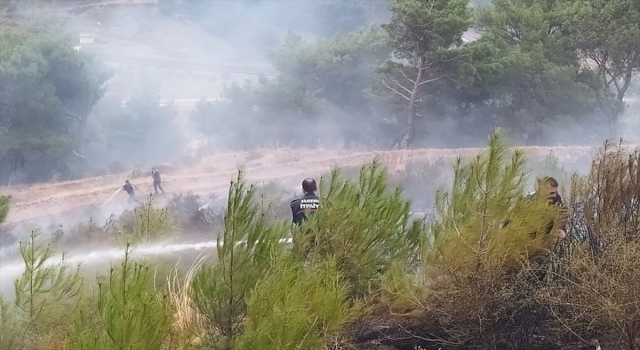 Hatay’da çıkan orman yangını kontrol altına alındı