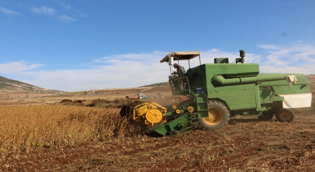 Kahramanmaraş’ta soya fasulyesi hasadı yapıldı