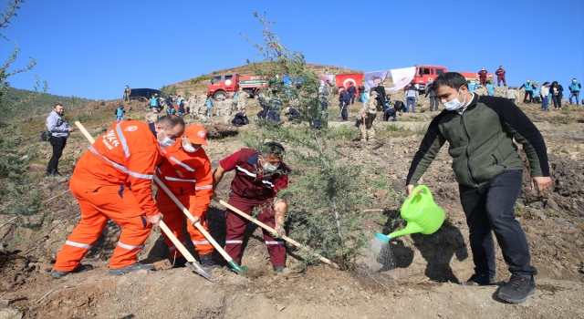 Hatay’da yangından zarar gören orman alanlarına 2 milyon fidan dikilecek