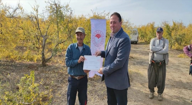 Mersin’de budama kursunu bitirenlere sertifikaları verildi