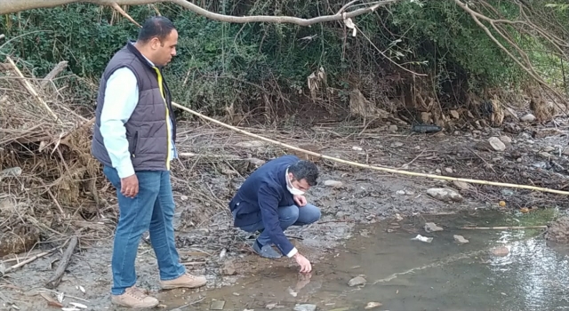 Adana’da çayda balık ölümleri görülmesi üzerine inceleme başlatıldı