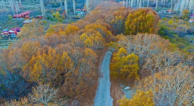 Kaş’ın ormanları güz renklerine büründü