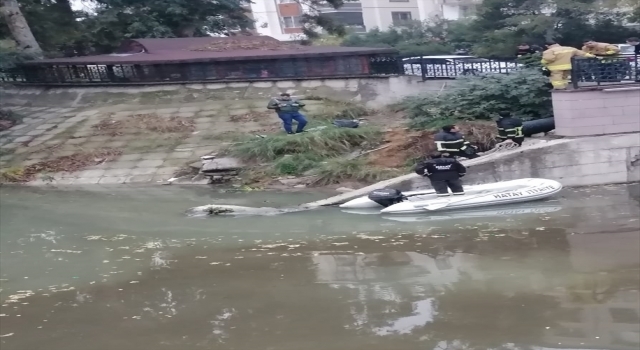 Hatay’da Asi Nehri’ne düşen at telef oldu