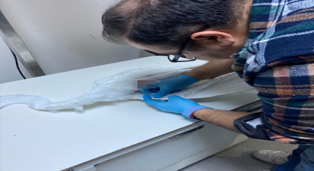 Hatay’da yaralı bulunan ak balıkçıl kuşu telef oldu