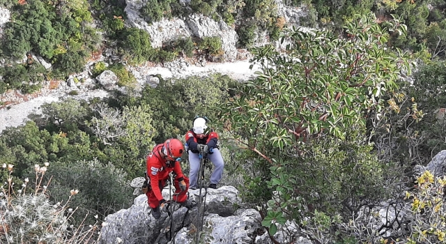 Mersin’de uçurumda mahsur kalan keçiler kurtarıldı