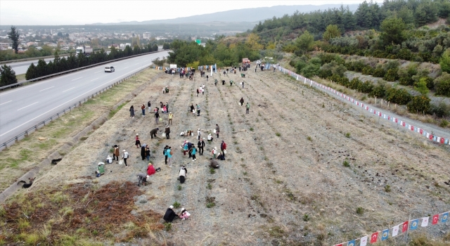 Dörtyol’da fidanlar toprakla buluşturuldu