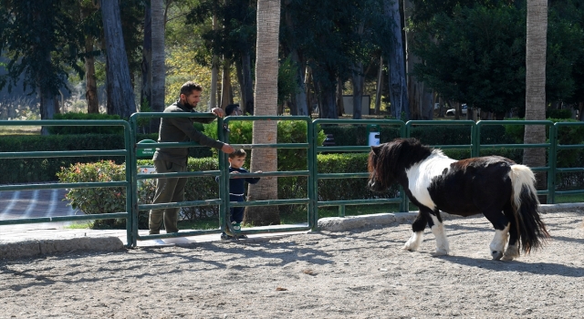 Tarsus Doğa Parkı’nın yeni yavruları ilgi odağı oldu