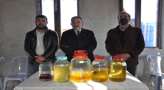 Kahramanmaraş’ta hasadı yapılan aromatik bitkiler işlenmeye başlandı